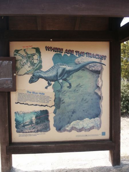 Cretacious Dinosaur Tracks near Glen Rose, Texas.