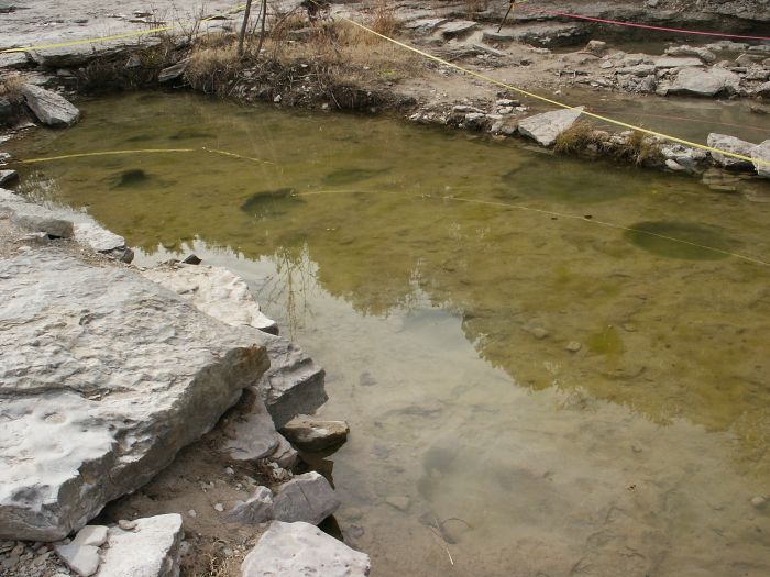 Cretacious Dinosaur Tracks near Glen Rose, Texas.