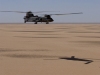 The Austrailian Army CH-47D Chinook flying in support of the Global War on Terrorism.