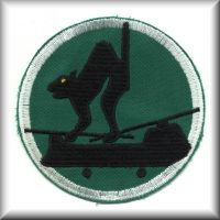 A Company - "Blackcats" unit patch.